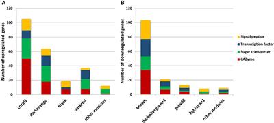 Gene Co-expression Network Reveals Potential New Genes Related to Sugarcane Bagasse Degradation in Trichoderma reesei RUT-30